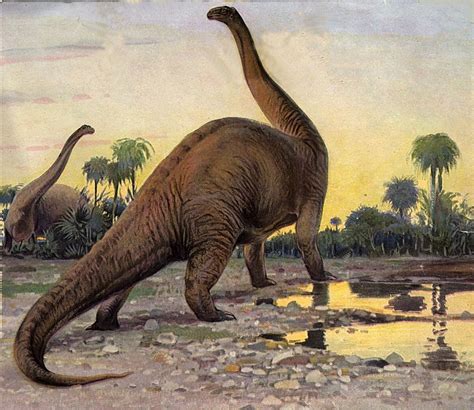 Brontosaurus Facts, Size, Fossil & Skeleton, with Pictures