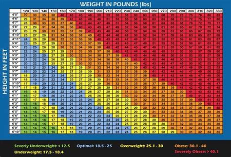 BMI Chart for Men & Women: Is BMI Misleading? - BuiltLean | Bmi chart ...