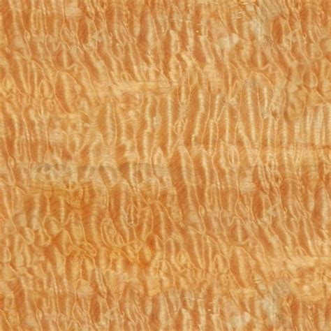 Curly Maple Woodgrain 23 – Pattern Crew