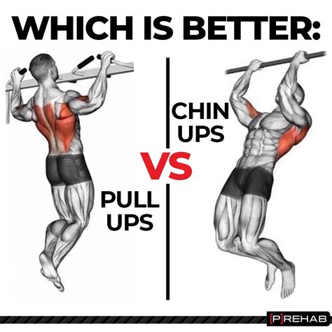 Pull Up Vs Chin Up Muscles Worked