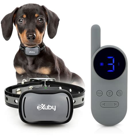 eXuby - Tiny Shock Collar for Small Dogs 5-15lbs - Smallest Collar on ...