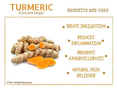 Turmeric Herb Uses, Side Effects and Benefits