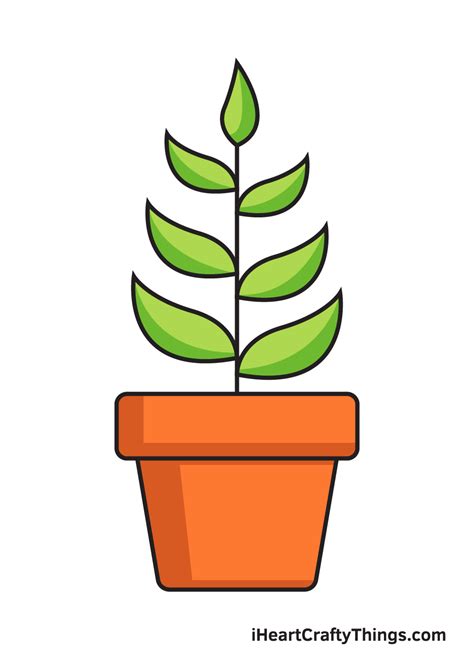 Plant Drawing — How To Draw A Plant Step By Step