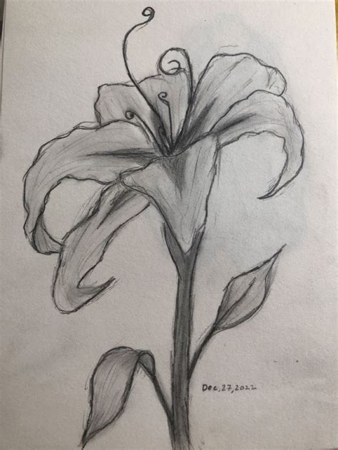 Flower,sketch,flower, flower drawing, practice ideas,easy sketch, easy ...