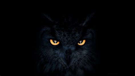 Owl Dark Glowing Eyes Wallpaper,HD Artist Wallpapers,4k Wallpapers ...