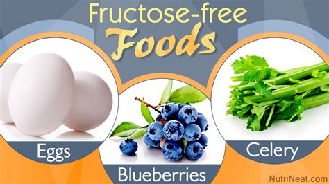 A list of fructose free food which food suit in your diet plan – Artofit