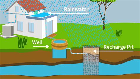 Rainwater Harvesting: Importance, Techniques, Pros, and Cons - Asset Hub