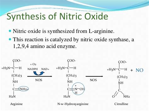 Nitric oxide