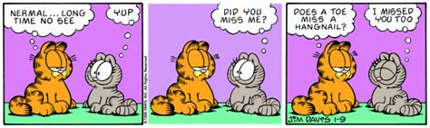 garfield-nermal.gif (600×180) | Garfield comics, Cartoon cat, Garfield