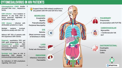 Cytomegalovirus Symptoms