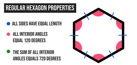 Hexagons Explained! The Complete Guide to Hexagons — Mashup Math