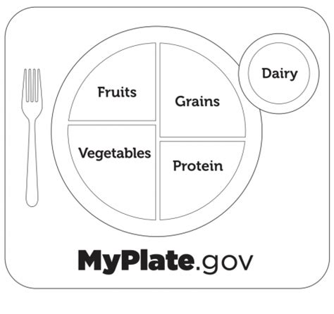 Myplate Coloring Sheet Printable