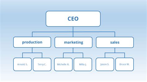 Functional Organizational Structure Template