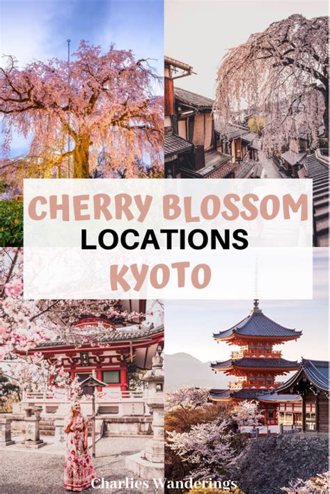 The 10 Best Cherry Blossom Locations In Kyoto - CHARLIES WANDERINGS ...