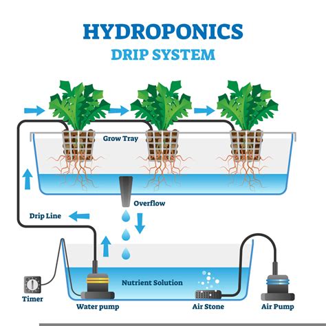 Hydroponic System: how to choose the ideal system for you? - Rise ...