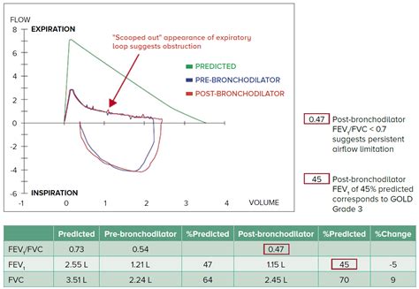 Contemporary Management of Chronic Obstructive Pulmonary Disease ...