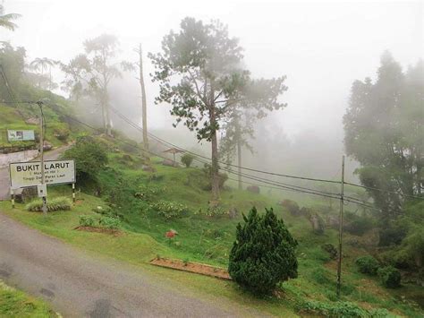 Bukit Larut, Taiping (Maxwell Hill) - Hill Resort, Hiking - Holidify