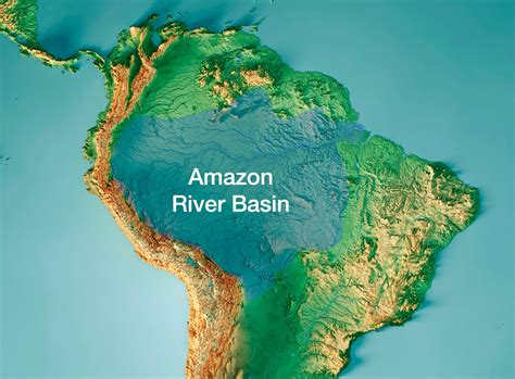 The Amazon Rainforest - by Tomas Pueyo