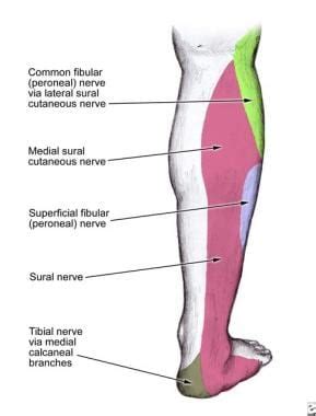 Superficial Peroneal Nerve Block