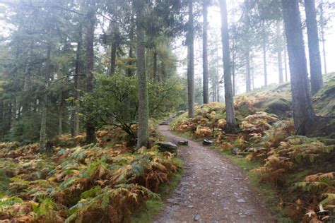 Hiking in the Wicklow Mountains - themigratorybirds.com