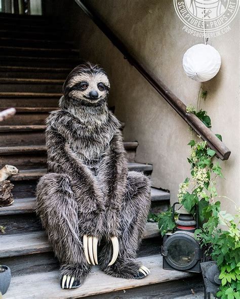 An Incredibly Realistic Three-Toed Sloth Costume | Animal costumes ...