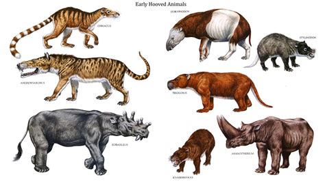 Early Artiodactyla. Row 1: Chriacus, Coryphodon, Stylinodon; Row 2 ...