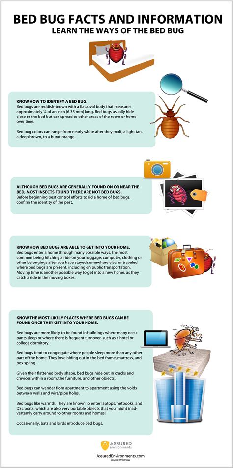 Bed Bug Facts and Information - Infographic