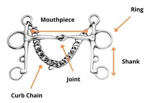 What is a Horse Bit? Types of Horse Bits & Uses