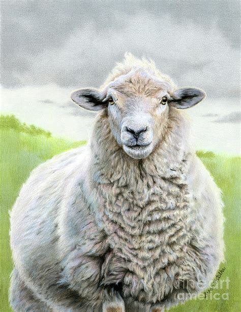 Portrait Of A Sheep Painting by Sarah Batalka