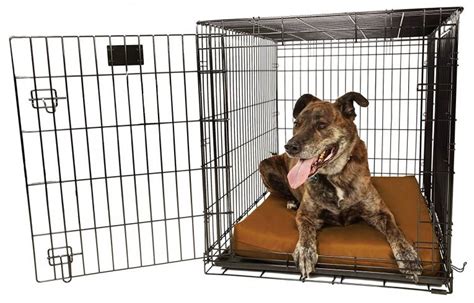 Orthopedic 4″ Dog Crate Pad by Big Barker Review | Best Dog Crates and Beds