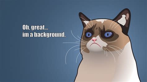 Grumpy cat desktop wallpaper Cat Wallpaper Iphone, Wallpaper Gatos ...