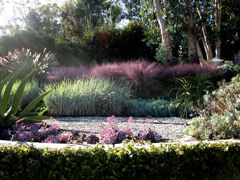 Pink Grasses: 11 Ideas for Muhlenbergia in a Landscape - Gardenista