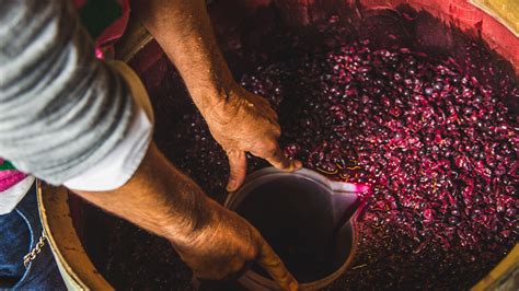 Winemaking, Explained: How Each Step in the Process Affects a Wine ...