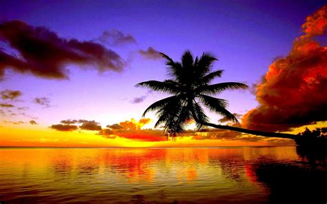 Sunset Screensavers and Wallpaper (63+ images)