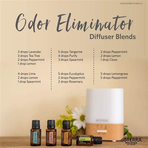 odor eliminator essential oil diffuser recipe - miriammallegni