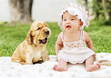 Puppies and Babies: 7 Ways In Which They're the Same | Mad Paws Blog