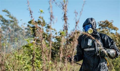 Biblical locust plague set to cause MORE devastation | World | News ...