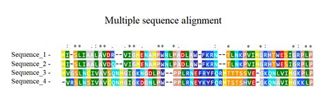 Sequence Alignment in Bioinformatics