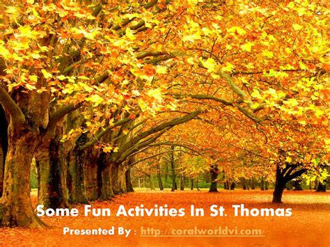 Some Fun Activities In St. Thomas by thomasanderson123 - Issuu