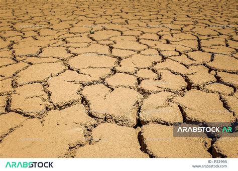 Close-up of clay cracked land in the dry season, cracks ground, dry ...