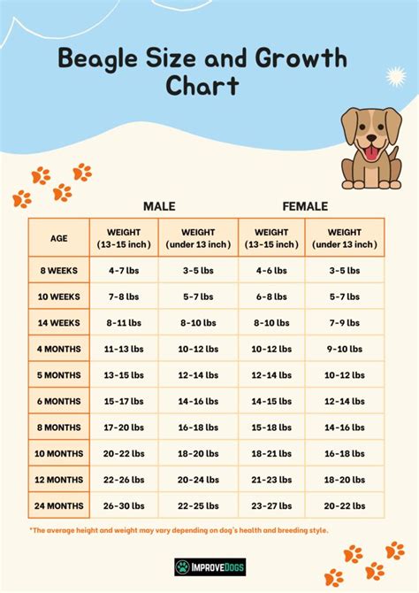 Beagle Growth Chart - Check Out Beagle Size Chart By Age | Growth chart ...