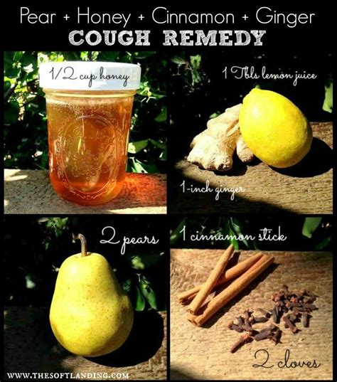 Natural Cough Remedy: Honey & Cinnamon Poached Pears | Natural cough ...