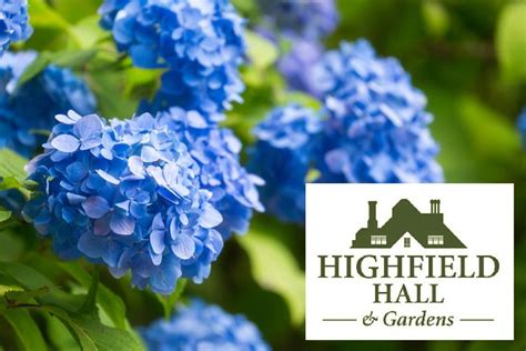 Discover and Explore Highfield Hall & Gardens in Falmouth