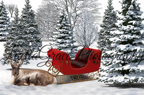 Christmas Digital Backgrounds Sleigh Horse Deer. 3 Options One is ...