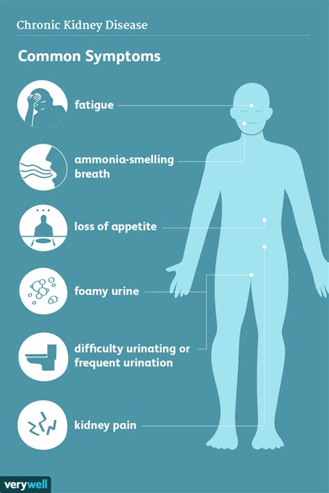 Symptoms Of Kidney Failure In Diabetic Patients - DiabetesWalls