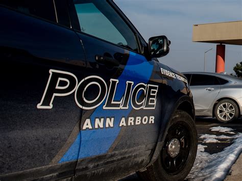 Ann Arbor police lieutenant fired for claiming she was too drunk to ...