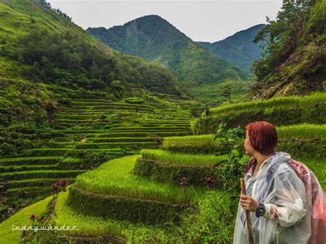 Batad Rice Terraces Banaue Ifugao Philippines. A beautiful stairway to ...