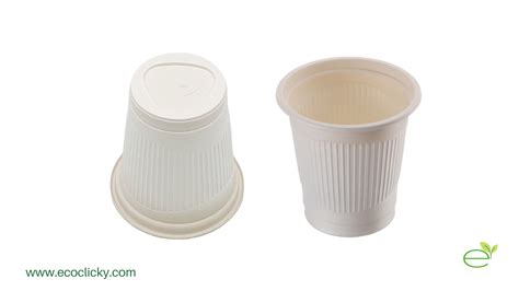 7 Advantages of Using Biodegradable Cups | Eco clicky