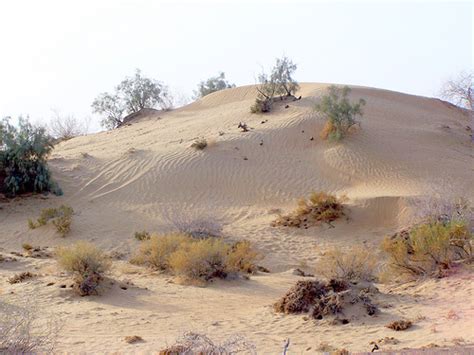 Cholistan Desert ~ Pakistan Tourism Guide