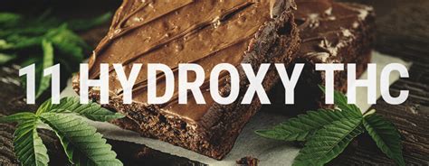 11-Hydroxy-THC And The Potency Of Edibles - RQS Blog